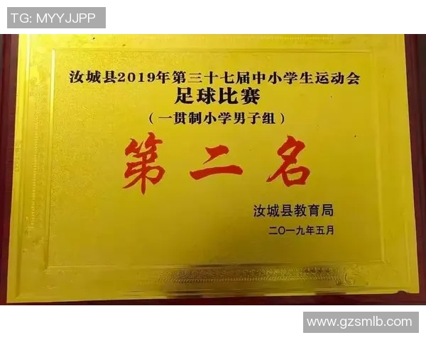 小学足球明星评选方案与活动实施细则的全面指导与建议 小学足球明星评选方案与活动实施细则的全面指导与建议
