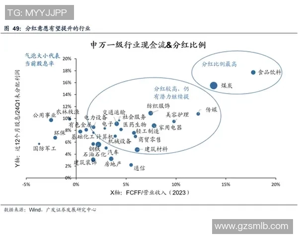 南京篮球队运营新模式探讨与发展前景分析