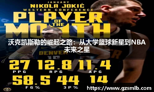 jbo竞博电竞