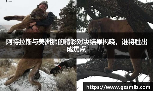 jbo竞博.体育官方网站  