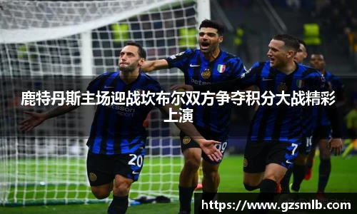 鹿特丹斯主场迎战坎布尔双方争夺积分大战精彩上演