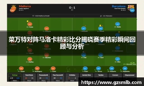 菜万特对阵马洛卡精彩比分揭晓赛季精彩瞬间回顾与分析