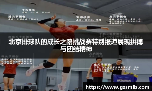 jbo竞博.体育官方网站  